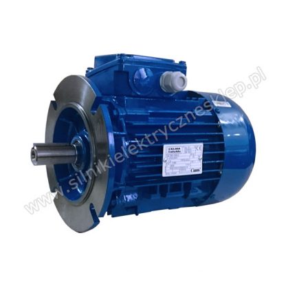 Silnik Celma Indukta 2SIEK200L6A 18,5kW / 987 obr.