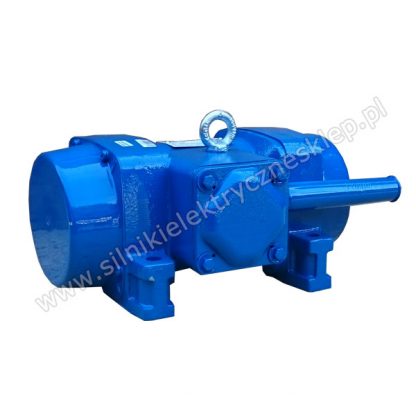 Celma Indukta Elektrowibrator wirujący EWg 1-4/50