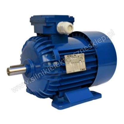 Silnik Besel 3SIE80-2A 0,75kW / 2890 obr.