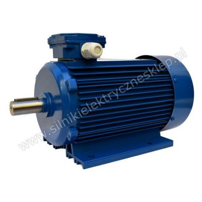 Silnik Besel ShR90-8S 0,37kW / 700 obr.
