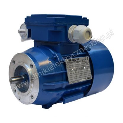 Silnik Besel SEKh56-2B2 0,12kW / 2860 obr.