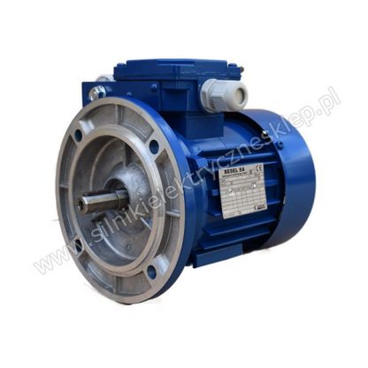 Silnik Besel SEKh80-4A 0,55kW / 1380 obr.