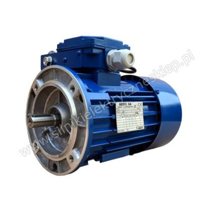 Silnik Besel SEKh80-4D1 1,3kW / 1400 obr.