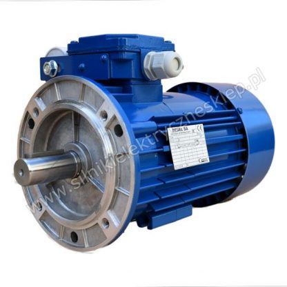 Silnik Besel SEKh90-4L1 1,3kW / 1370 obr.