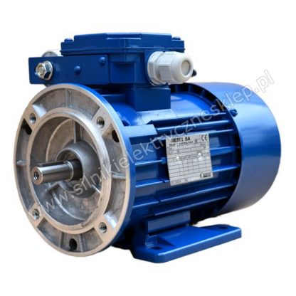 Silnik Besel SELh80-4A1 0,55kW / 1380 obr.