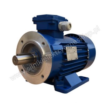 Silnik Besel SELh90-4L2 1,3kW / 1370 obr.