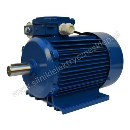 Silnik Besel SEMhR90-4L 1,1kW / 1360 obr.