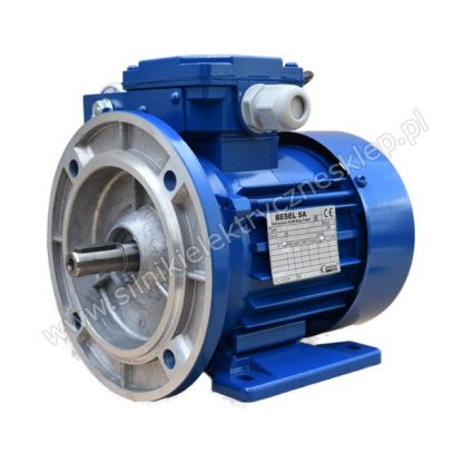 Silnik Besel SEMLh80-2A 0,55kW / 2780 obr.