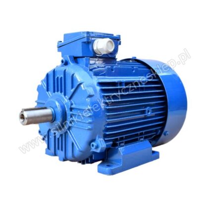 Silnik Celma Indukta 3SIE100L2A 4kW / 2920 obr.
