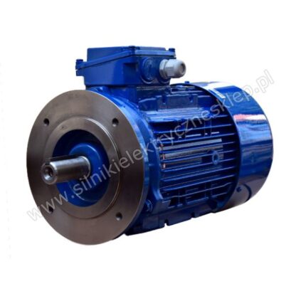 Silnik Celma Indukta 3SIEK100L2A B14C1 4kW / 2920 obr.