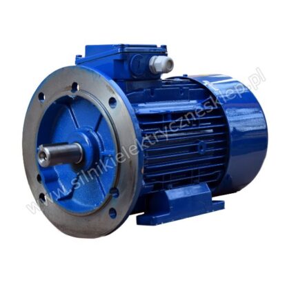 Silnik Celma Indukta 3SIEL100L2A B35 4kW / 2920 obr.