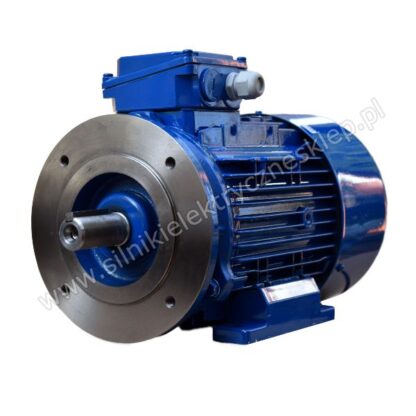 Silnik Celma Indukta 3SIEL100L2A B34C1 4kW / 2920 obr.