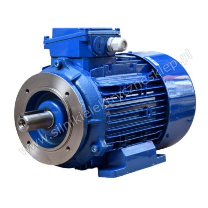 Silnik Celma Indukta 3SIEL100L2A B34C2 4kW / 2920 obr.