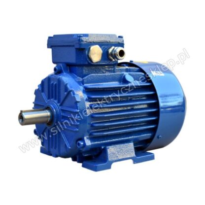 Silnik wysokotemperaturowy 3SIE100L4A 2,2kW
