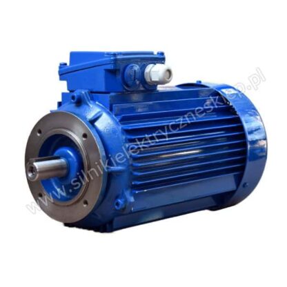 Silnik Celma Indukta 3SIEK90L8 B14C2 0,55kW / 700 obr.