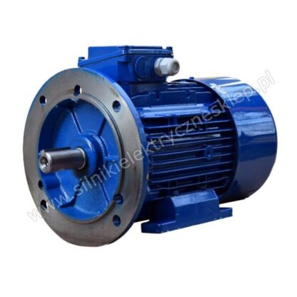 Silnik Celma Indukta 3SIEL100L8B 1,1kW / 710 obr.