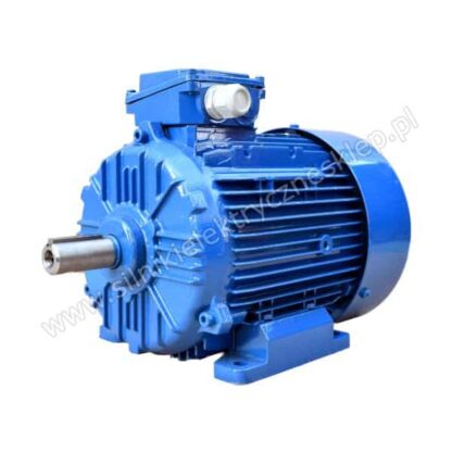 Silnik z hamulcem 3SIE100L6A-G 2,2kW