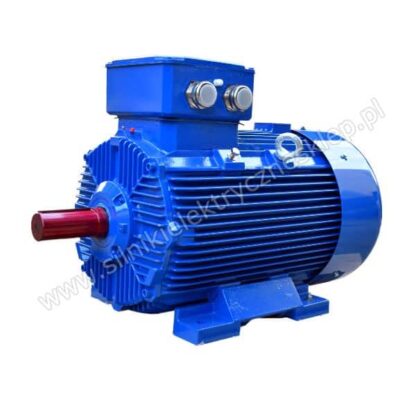 Silnik z hamulcem 3SIE225M4C-G 55kW