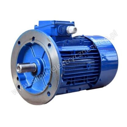 Silnik z hamulcem 3SIEK100L2A-G 4kW