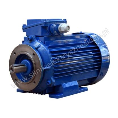 Silnik z hamulcem 3SIEL112M2B-G B34C2 7,5kW